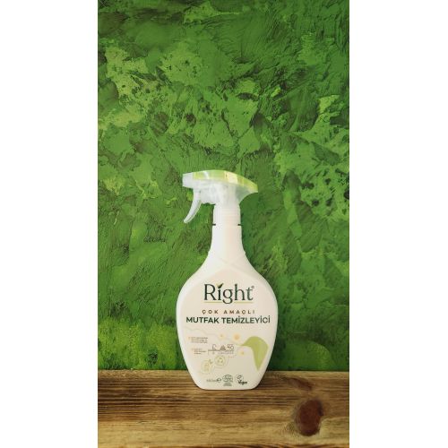 Right Mutfak Temizleyici 600 ml